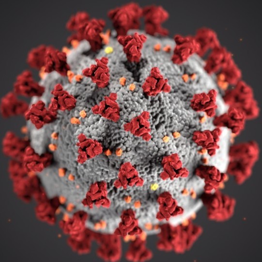 The Coronavirus Pandemic: Products To Get You Through